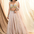 Baby Pink Shimmer Lehenga Set image 0