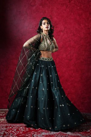 Jeeva Lehenga Set image 1