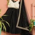 Charcoal Black Shimmer Lehenga Set With Ivory Blouse image 0