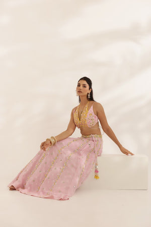 Pastel Pink and Yellow Mirror Work lehenga image 4