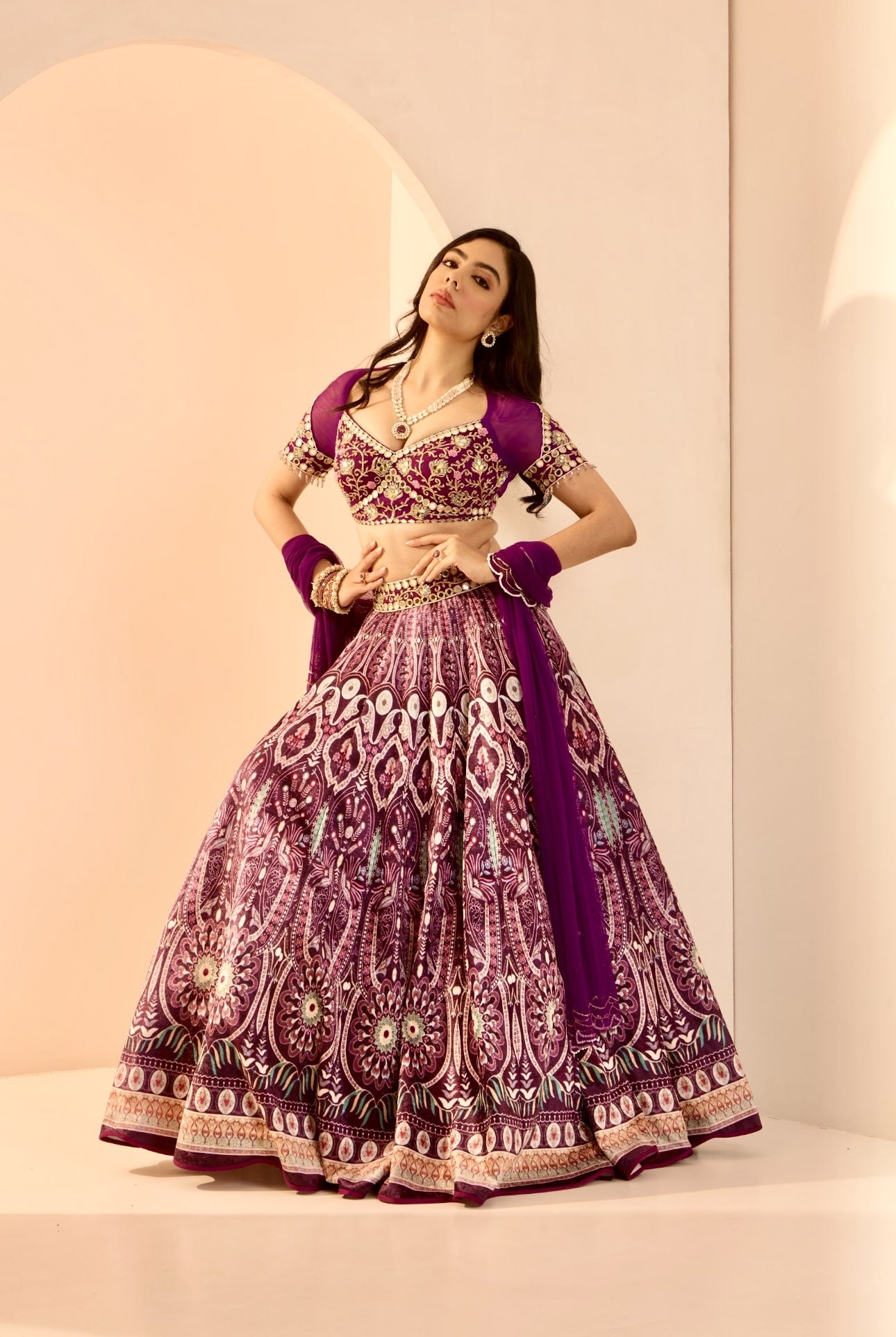 Sitara Lehenga Set image 0