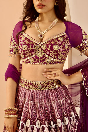 Sitara Lehenga Set image 5