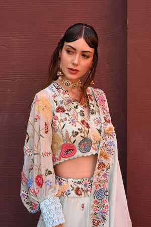 Powder Blue Flamingo Embroidered Lehenga Set image 3