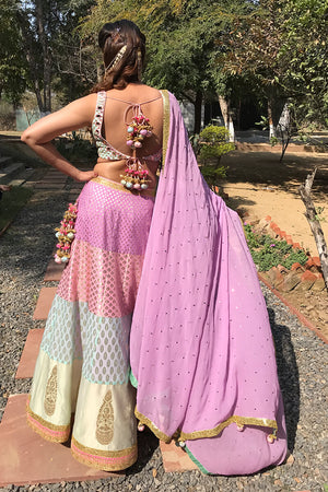 Pastel Panelled Lehenga with Mirror Work and Sequins Choli Set image 2