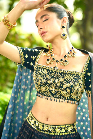 Jahaan Lehenga Set image 3