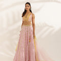 Pastel Pink and Yellow Mirror Work lehenga image 0