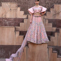 Baby Pink Embellished Lehenga Set image 0
