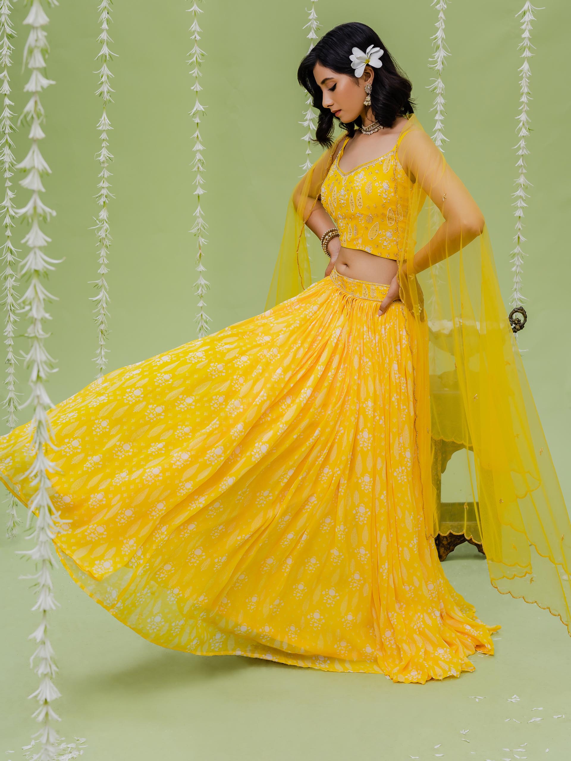 Sunshine Embroidered Lehenga Set image 4