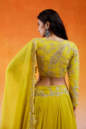 Daisy Yellow Embroidered Lehenga Set image 7