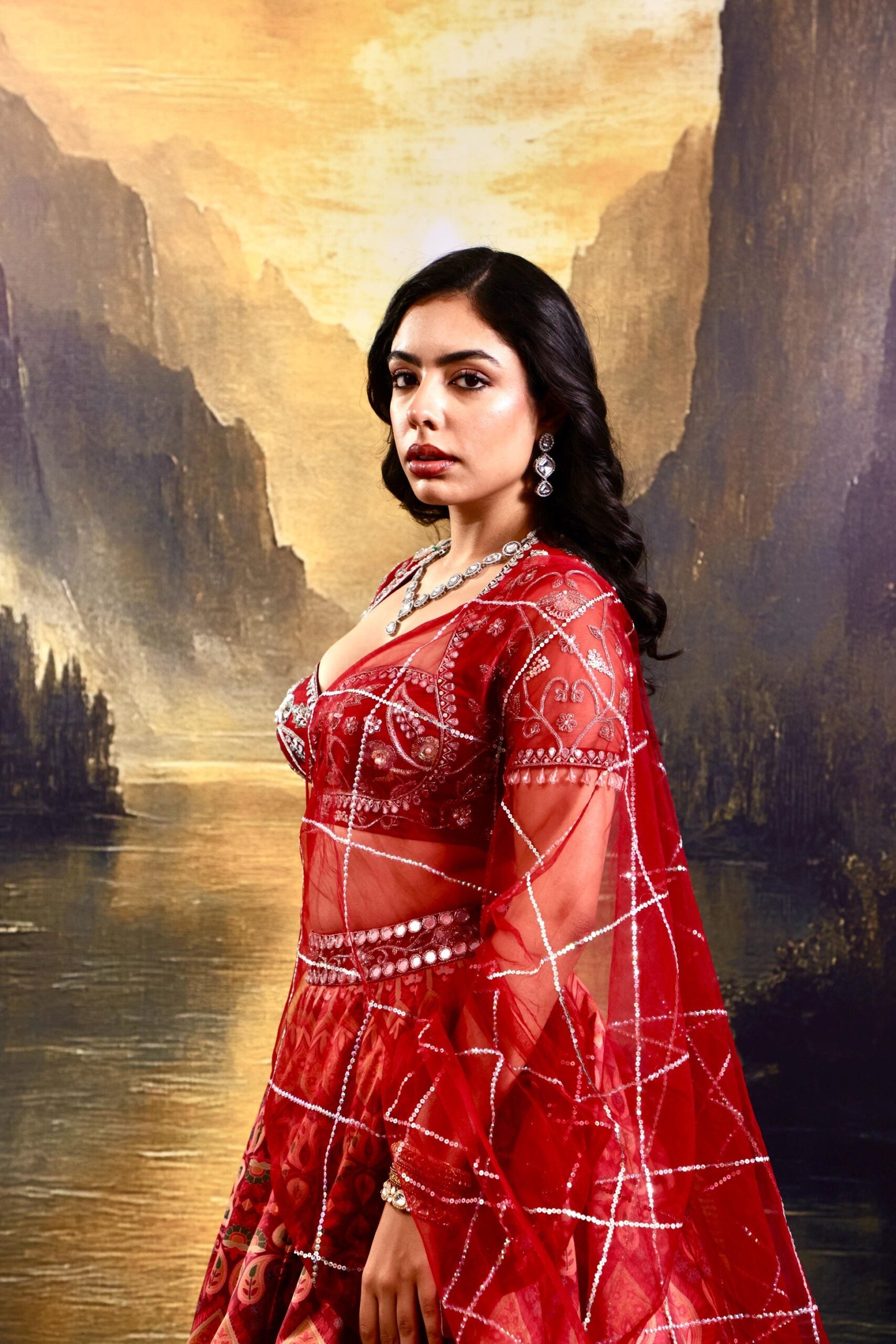 Noor Lehenga Set image 6