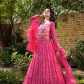 Pink Georgette &amp; Net Layered Lehenga Set image 0