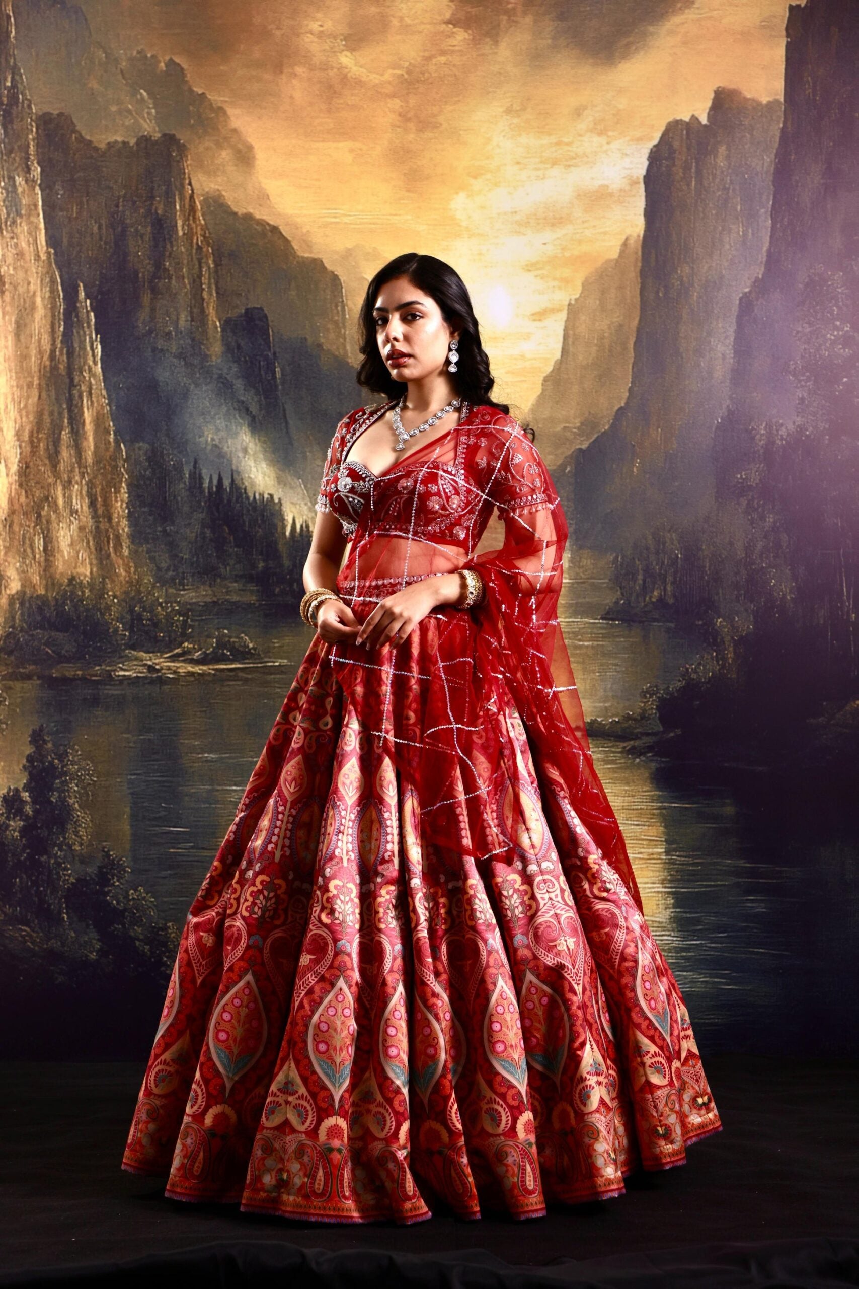 Noor Lehenga Set image 3