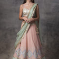 Peach Chanderi Lehenga with Gold Choli image 0