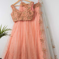 Peach and Aqua Blue Lehenga Set image 0