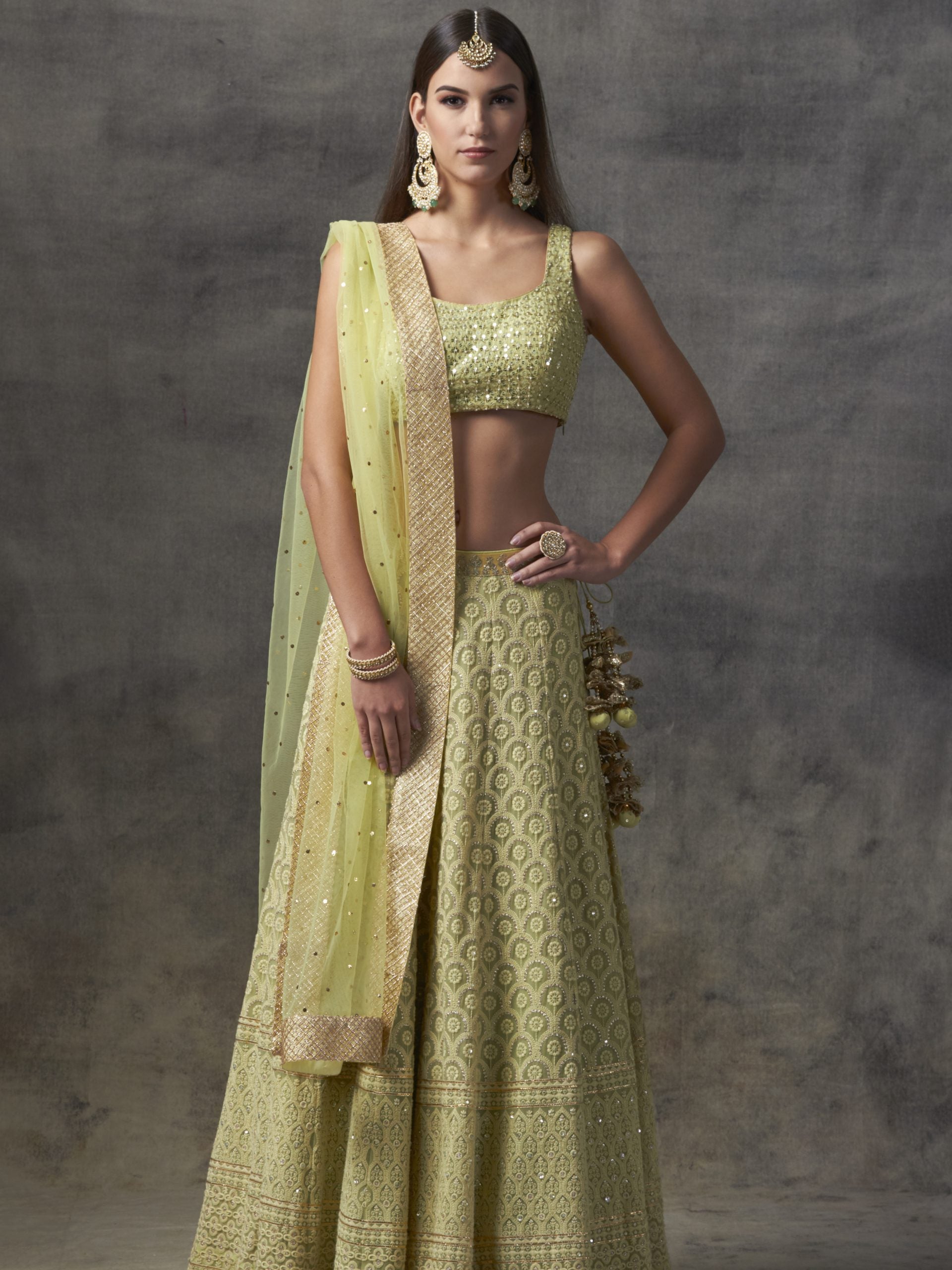 Mint Green Luckhnowi Lehenga - XL image