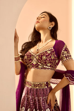 Sitara Lehenga Set image 7