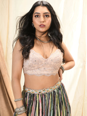 Multicolor Stripe Print Skirt Set With Crop Top image 1