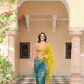 Shaded Organza Thread Work Applique Paisley Saree