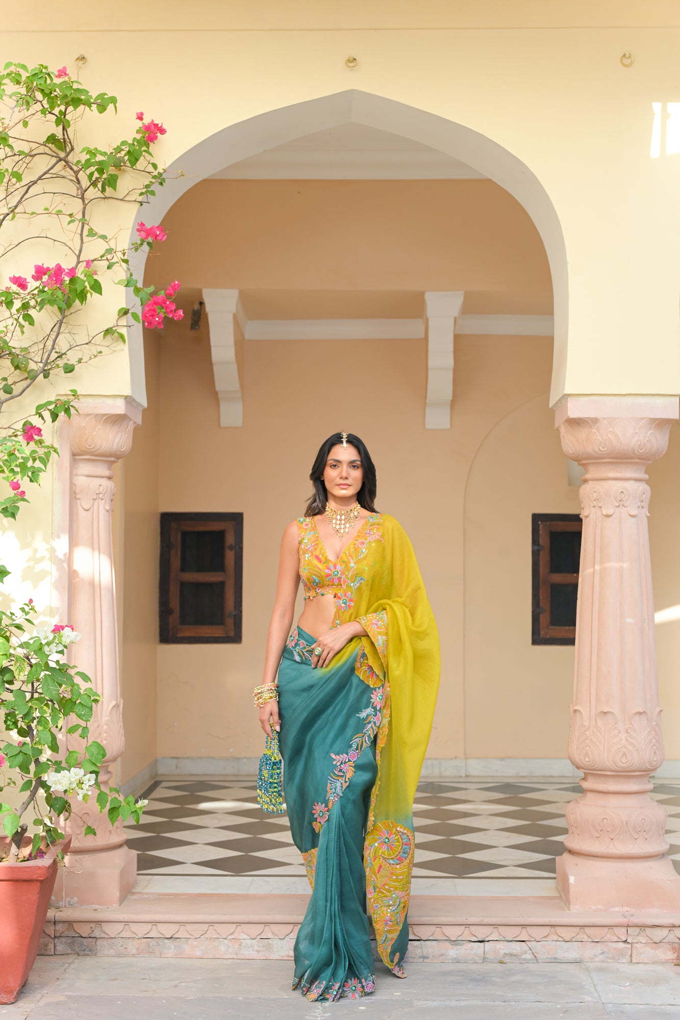 Shaded Organza Thread Work Applique Paisley Saree