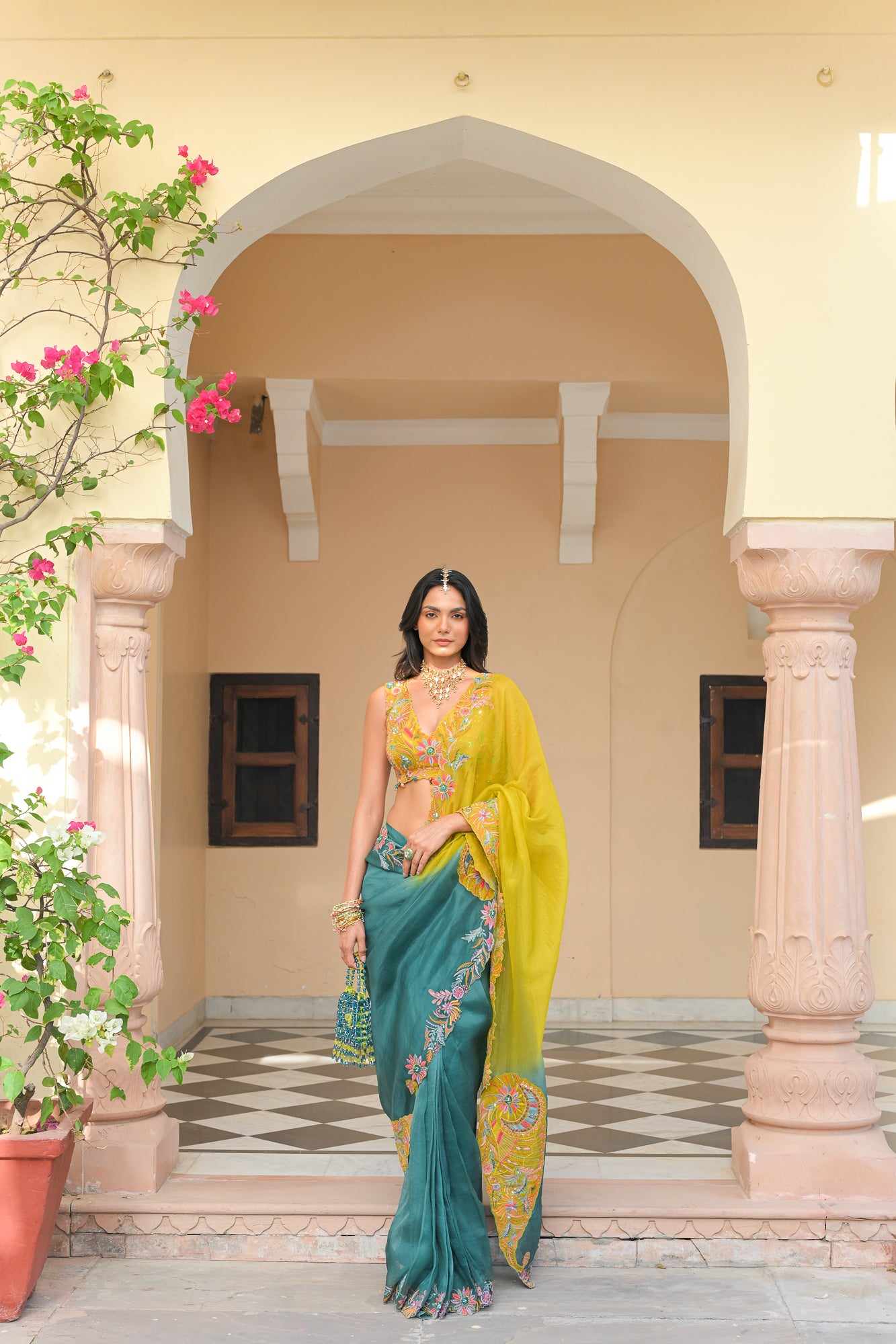 Shaded Organza Thread Work Applique Paisley Saree