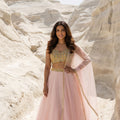 Salmon Pink Organza Lehenga With Multicolour Blouse