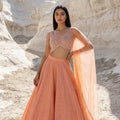 Peach Stonework Lehenga With Peach Sequin Blouse Set