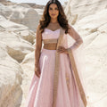 Pink Stonework Lehenga Set
