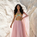 Pink Organza Lehenga With Multicolour Cutdana Blouse