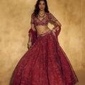 Roshni Lehenga Set