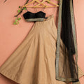 Nude Shimmer Lehenga Set image 0