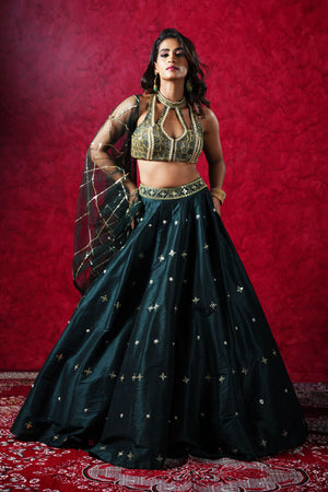 Jeeva Lehenga Set image 7
