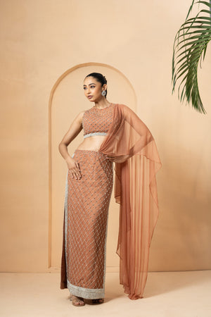 Beige Crystal Embellished Drape Saree - XS image