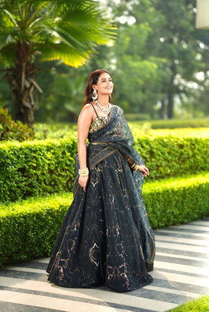 Meesha Lehenga Set image 3