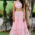 Blush Pink Floral Embroidered Crop-Top and Flared Skirt Set image 0