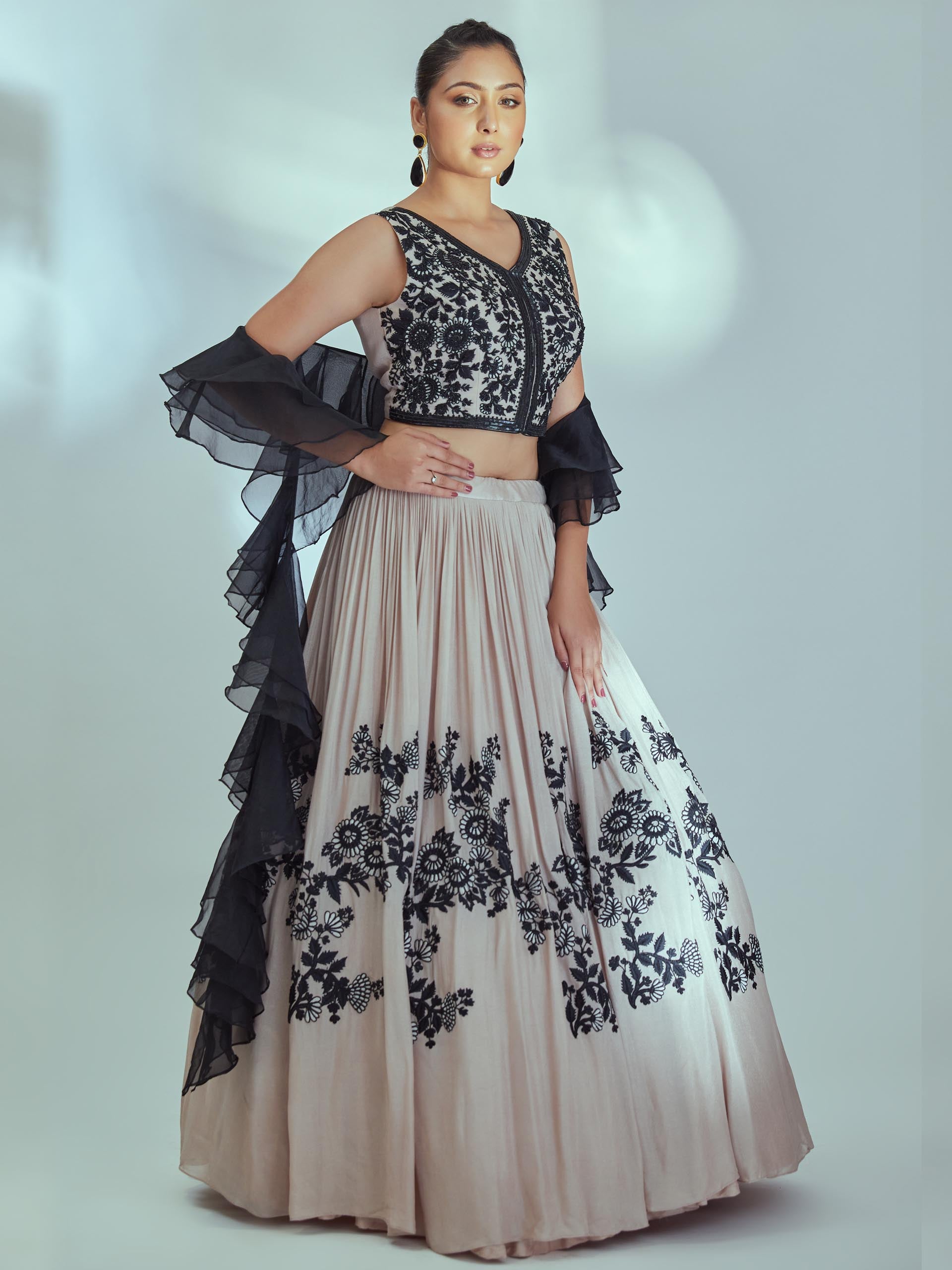 Nude and Black Embroidered Lehenga Set image 3