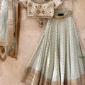 Pastel Mint Green Zari Lehenga Set image 0