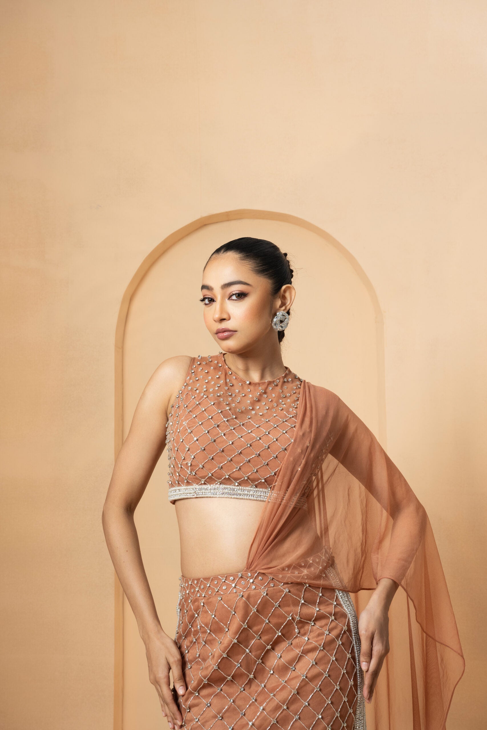 Beige Crystal Embellished Drape Saree image 2