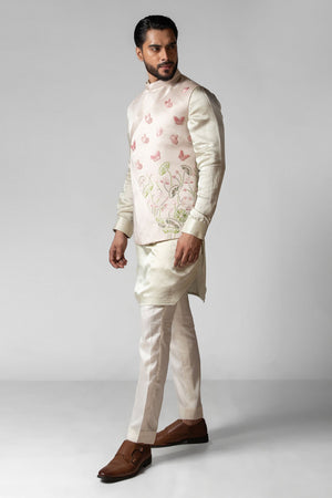 Butterfly image 8