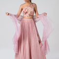 Light Pink Lehenga Set image 0