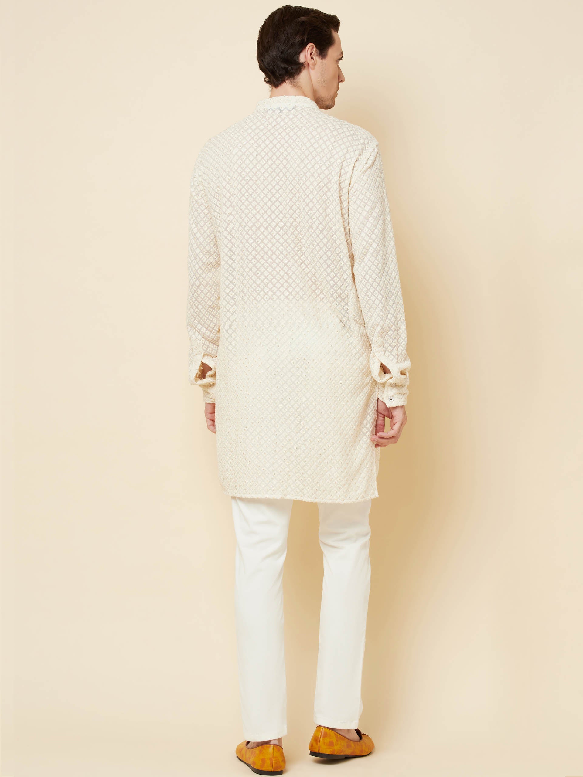 Lucknowi Embroidered Kurta Set image 4