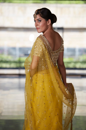 Mustard Net Saree with Mirror Blouse image 1