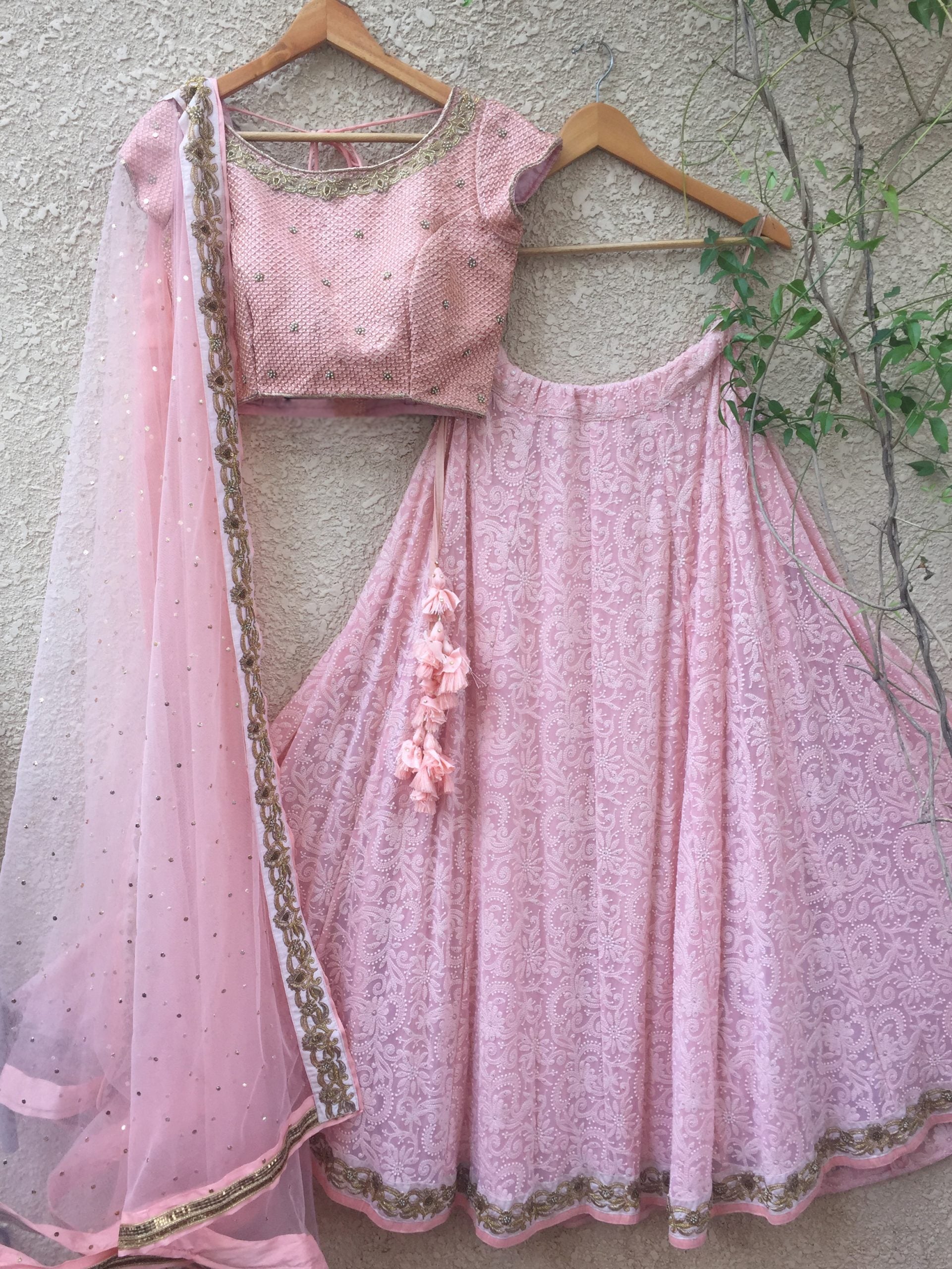 Baby Pink Lucknowi Lehenga - XL image