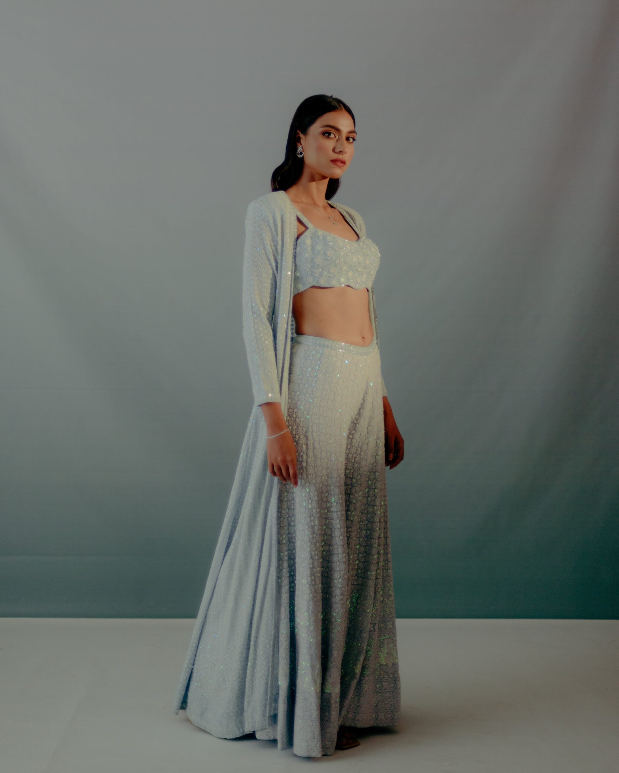 Baby Blue Lucknowi Sequin Saree Set image 7