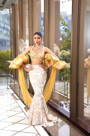 Nisha Lehenga Set image 5