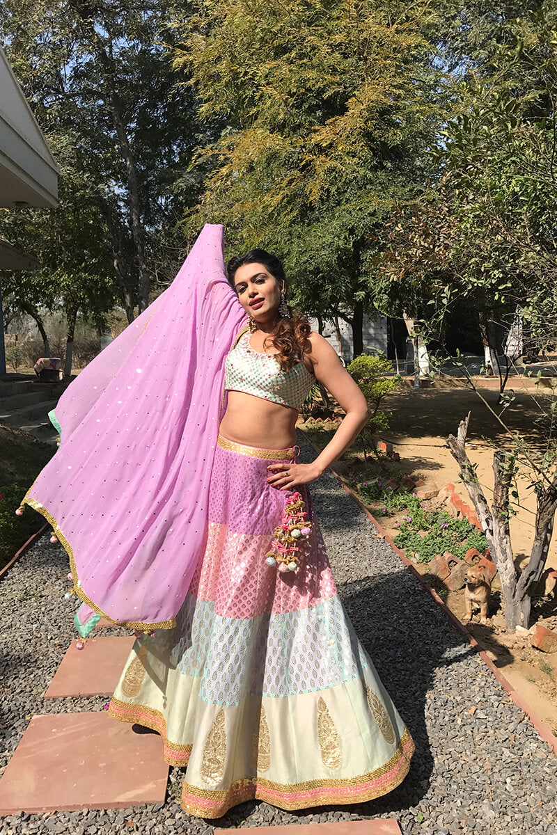 Pastel Panelled Lehenga with Mirror Work and Sequins Choli Set image 1