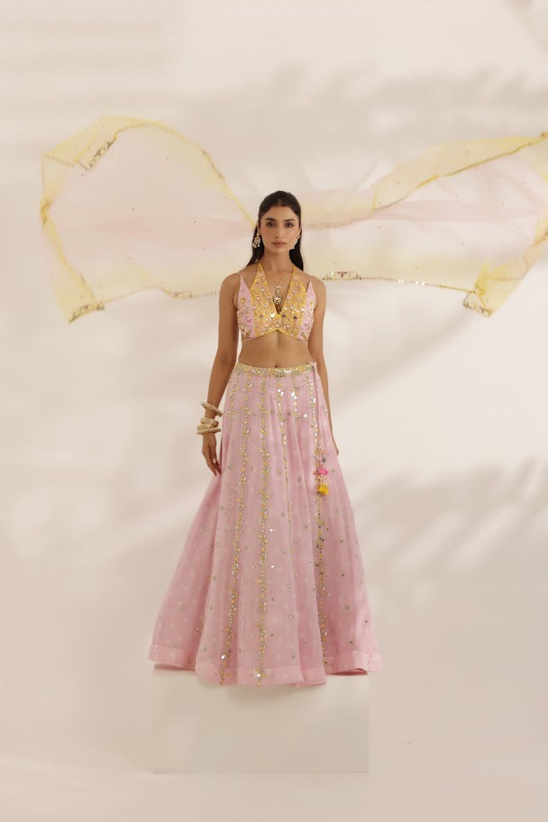 Pastel Pink and Yellow Mirror Work lehenga - L image