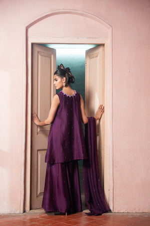 Jamuni Sharara Set image 3