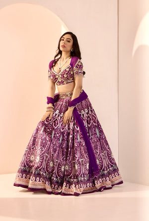 Sitara Lehenga Set image 3