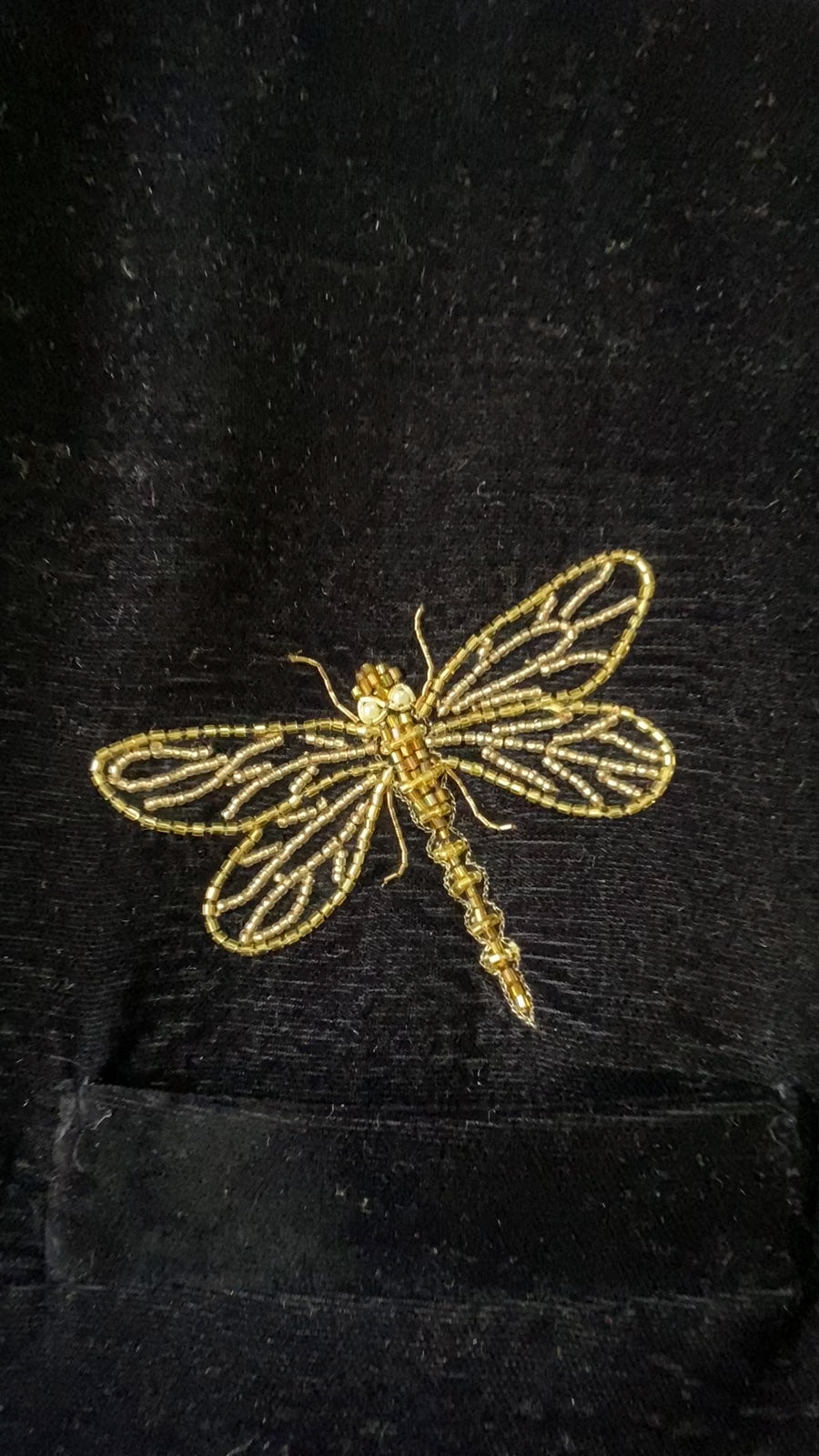 Dragonfly Embroidered Bandhgala Set image 1