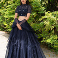 Navy Blue Maheem Organza Lehenga image 0